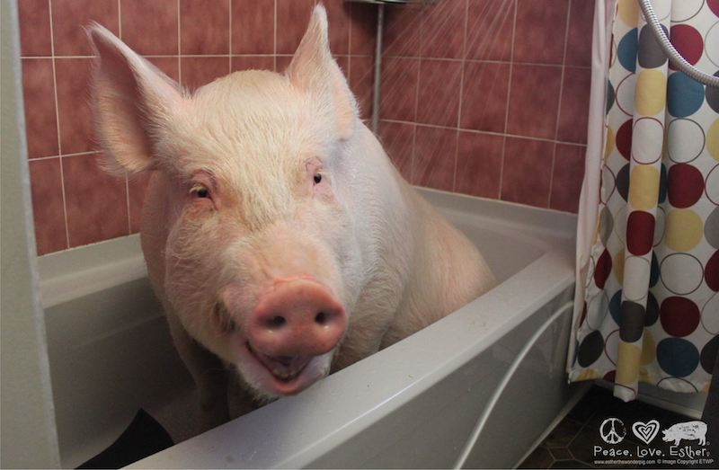 esther-in-tub1.jpg